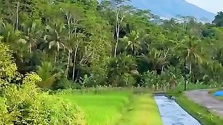 Sungai dengan view gunung yang indah