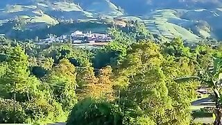 Petani sedang mencangkul kebunnya