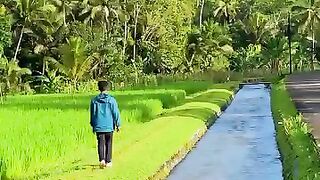 Desa yang mirip lukisan