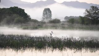 Travelon - id | Trending HD Video