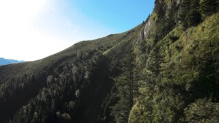 travelite - id | Trending HD Video