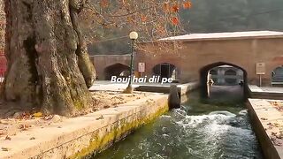 Dil ????