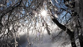 Winter Coat - id | Trending HD Video