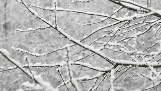 Winter Coat - id | Trending HD Video