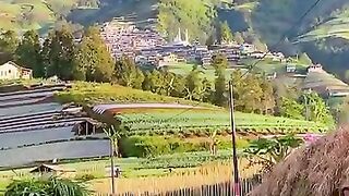 Pagi hari di lereng gunung sumbing