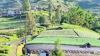 Pagi hari di lereng gunung sumbing Magelang