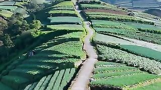 MasyaAllah pemandangan asli begini indahnya di bilang AI. Ini tempatnya di Sukomakmur Kajoran Magelang