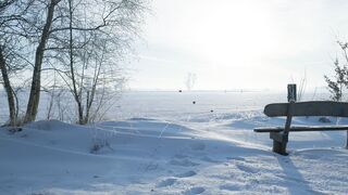 The Shy Snow Woman and the Cursed Ring - id | Trending HD Video