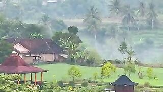Adem ayem hidup di desa