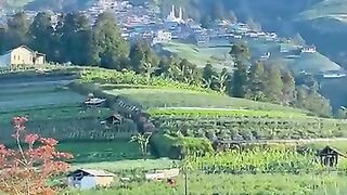 Pagi hari di lereng gunung sumbing