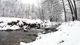 The Shy Snow Woman and the Cursed Ring - river in the middle of snow covered forest | Trending