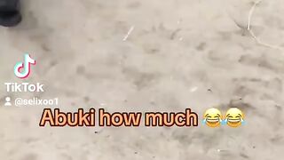 Funny kingdom