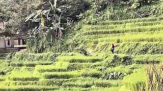 Rumah yang jauh dari keramaian ????????