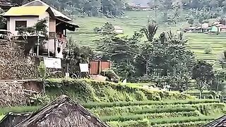 Beautiful countryside like a painting ????