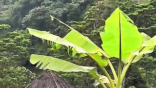 Wisata tematik terasering Cisalada purwabakti ????