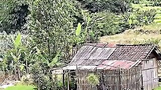Secluded house in the mountains ????