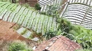 Skil ojek petani di jalan setapak ???? #trendingreels #usa #fyp