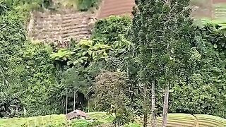 Syahdu ???? #nature #trendingreels #usa #fyp