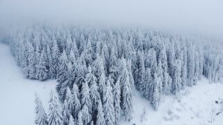 Winterhalter - id | Trending HD Video