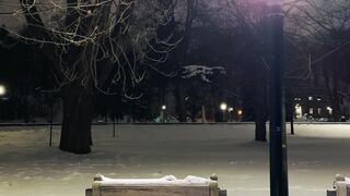 Winterhalter - serene snowy park at night with bench and lamp | Trending HD Video