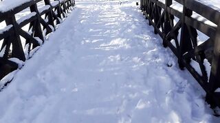 Winter Coat - snowy winter pathway with wooden bridge | Trending HD Video