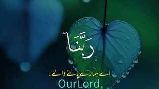 Heart touching voice Tilawat e Quran