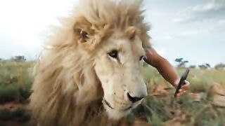 Walk with the Giant Lion Snow - Dean Schneider.mp.2026