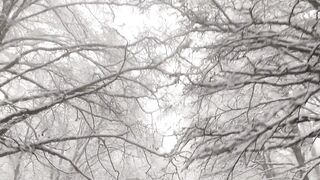 Winter Coat - footage in winter forest | Trending HD Video