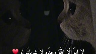Quran paak Tilawat