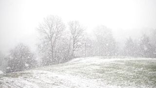 Winter Coat - id | Trending HD Video