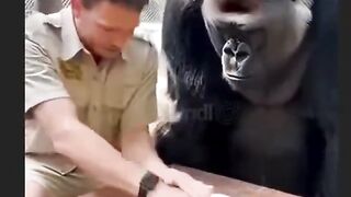 FUNNY VIDEO