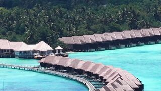 Travelpro - aerial view of tropical overwater bungalows | Trending HD Video
