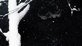 Winterhalter - snow covered branches over a flowing creek | Trending HD Video