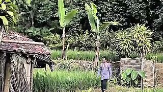 Rumah sederhana penuh kenangan ???? #trendingreels #usa #fyp
