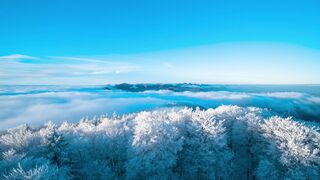 Winterhalter - id | Trending HD Video