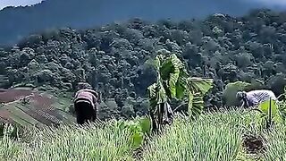 Seindah inikah ladang sayuran di kebun pedesaan ???? #PesonaAlamDesaku #trendingreels #nature #fyp