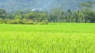 Hill taping Magelang's handshake