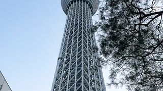 travelite - tokyo skytree tower viewing at sunset | Trending HD Video