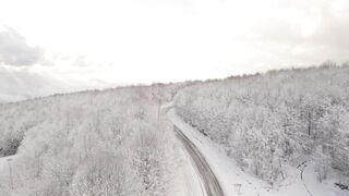 Winterhalter - stunning aerial view of snowy winter forest | Trending HD Video