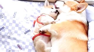 The safest place in the world is inside mum’s hug