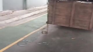 the car is loaded with loads