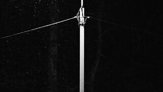 Winter Coat - grayscale video of street lamp | Trending HD Video