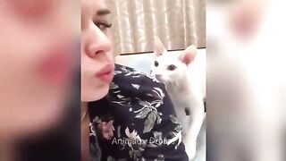 Funny Animal Videos 2026 Part 12