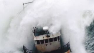 Wow my good sea 2026