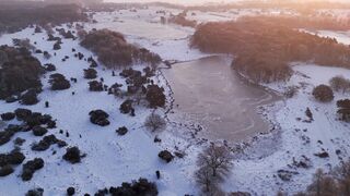 Winterhalter - id | Trending HD Video
