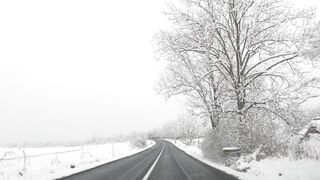 Winter solstice - view from car driving in winter | Trending HD Video