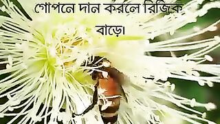 rejekar malik alla