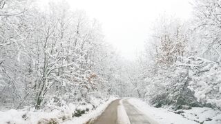 Winterhalter - driving through snowy winter forest | Trending HD Video