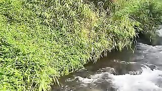 Aliran sungai jernih bikin adem ????