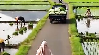 Di antara hamparan padi, desa selalu punya cara sederhana untuk menenangkan hati ????